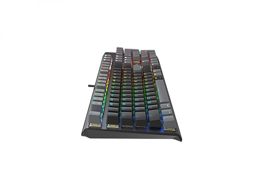 FS100 FSTYLER USB Neon Backlit US crna tastatura 