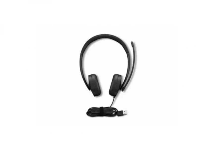 Lenovo NOT DOD LN SLUŠALICE žičane/Stereo/USB, 4XD1P83425