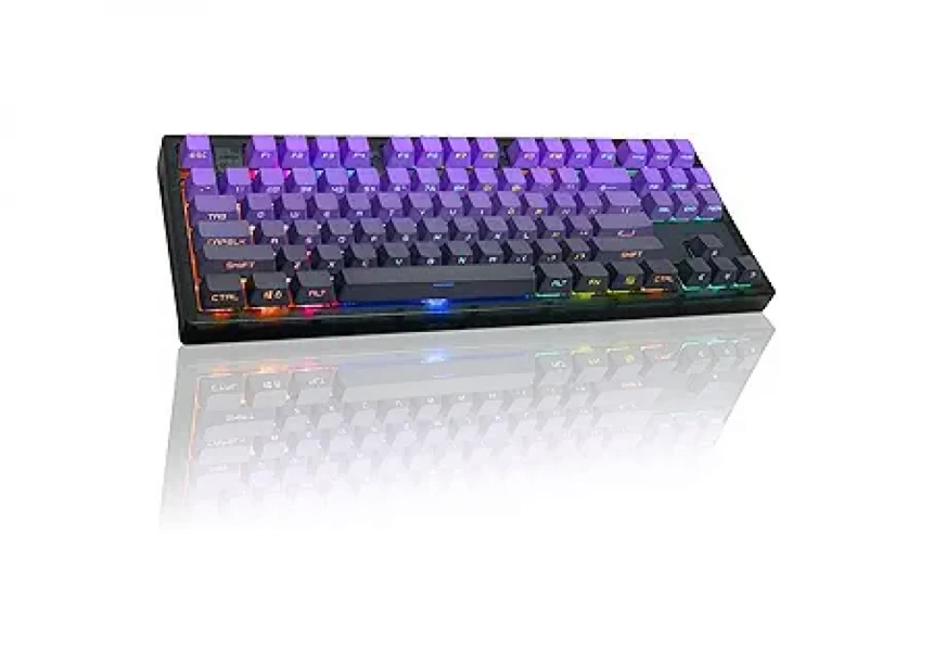 Wireless mechanical gaming keyboard Pro, 2.4 GHz, BT, RGB Backlight, 16 modes, 66 keys, 50M presses, linear Lorgar Toxic Purple switches, multimedia knob, built-in 3750 mAh battery, Hot Swap, Gasket mount, spring cable 2.3m, beige grey purple