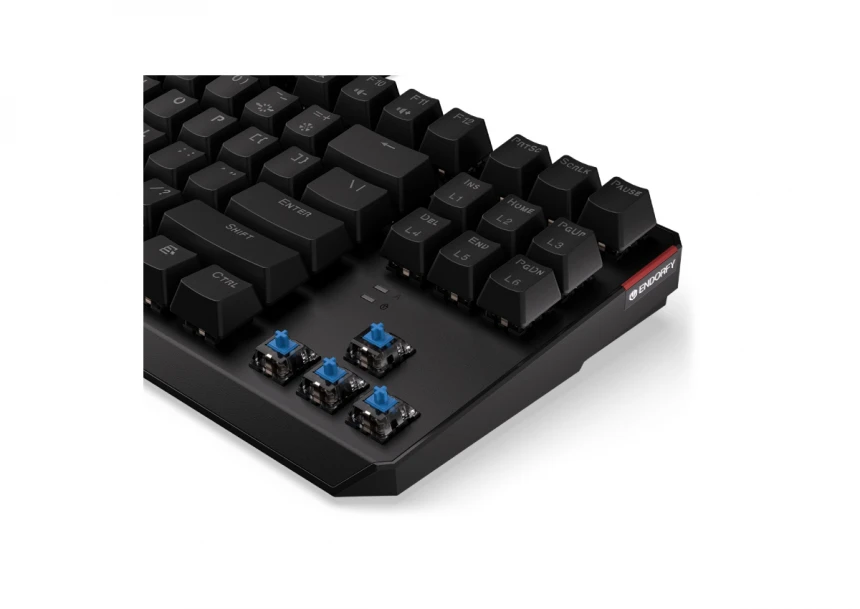 Thock TKL Blue RGB tastatura (EY5A001)